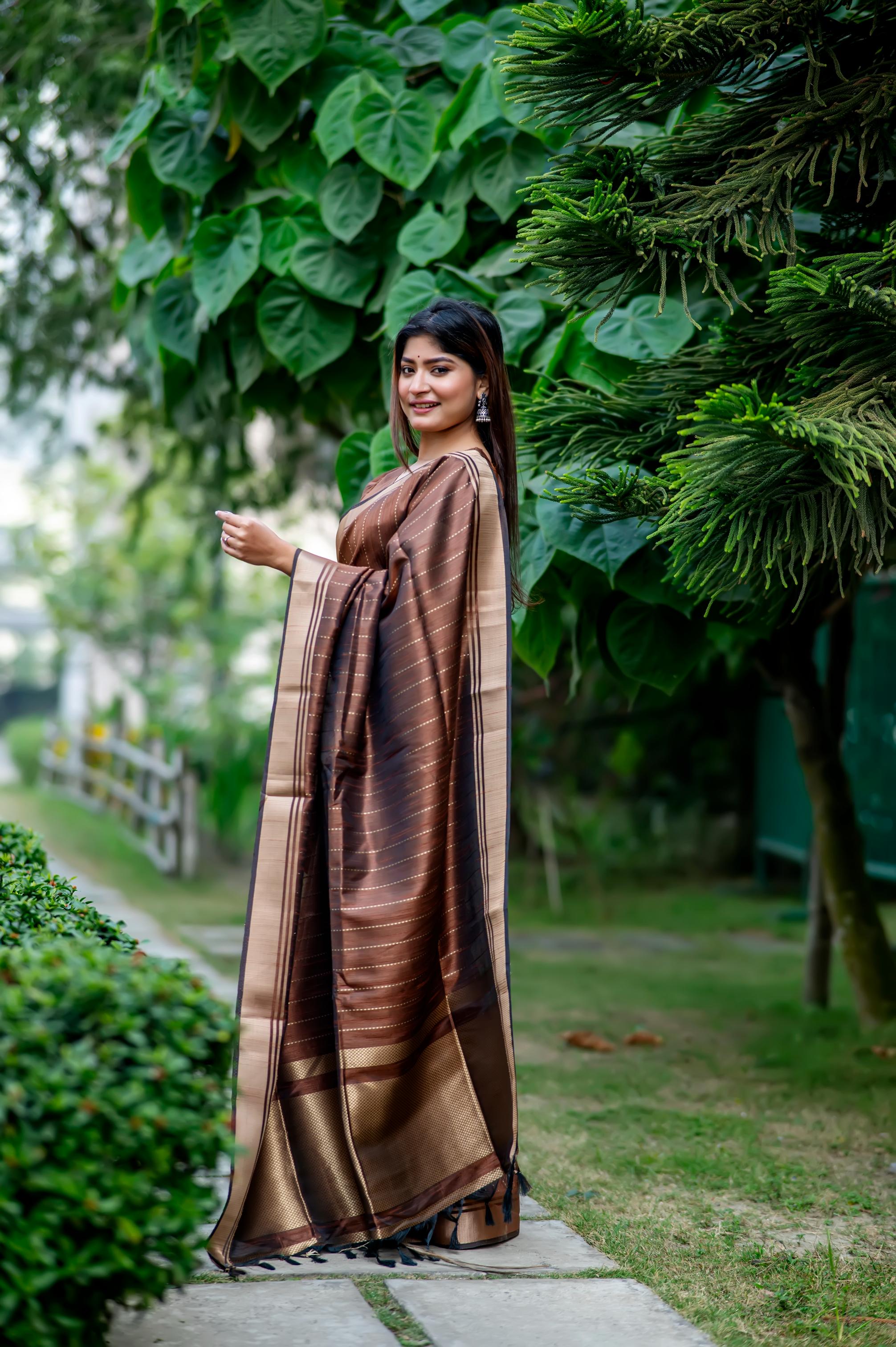 Shikha -Luxurious Silk saree Stripe Saree