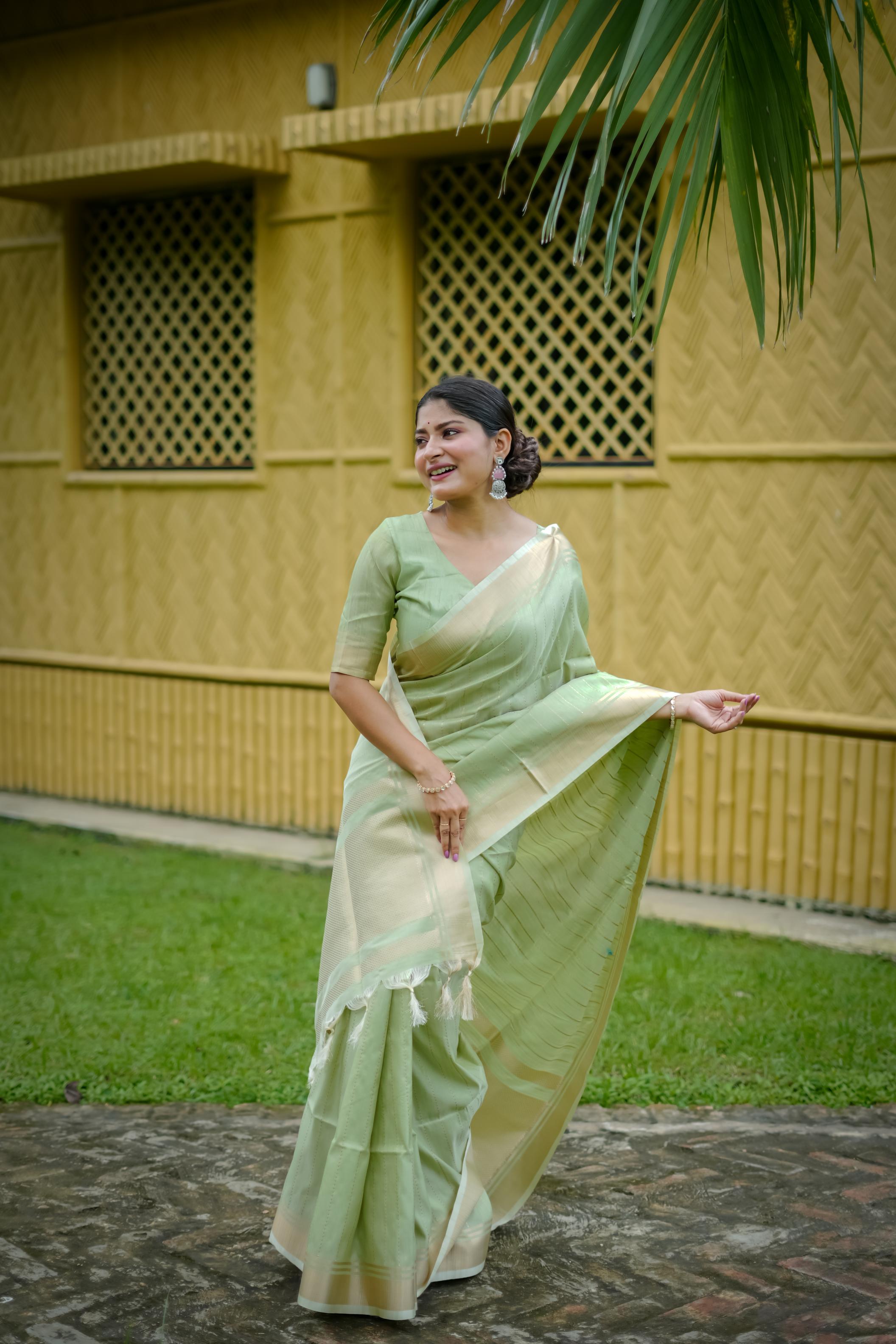 Raw- Regal Luxurious Silk Saree